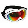 birdz Auctions